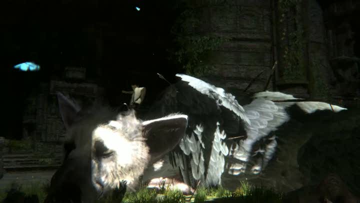 Vídeo de Last Guardian, The