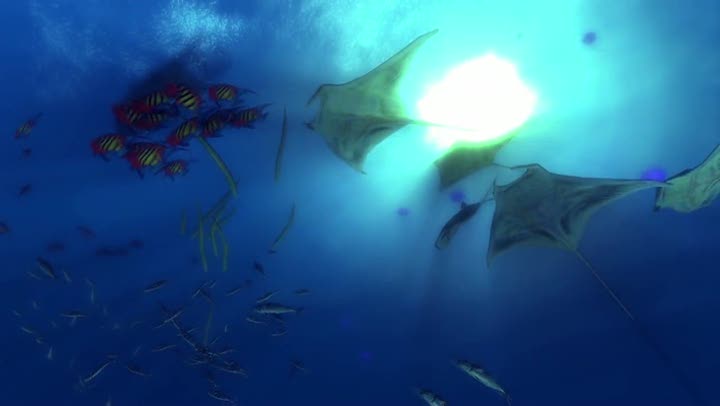 Vídeo de Depth: Aquatic Stealth