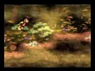 Vídeo de Donkey Kong Country 2 : Diddy's Kong Quest (Consola Virtual)