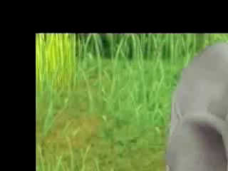 Vídeo de National Geographic Safari Adventures Africa