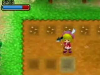 Vídeo de Harvest Moon: Animal March