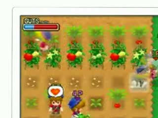 Vídeo de Harvest Moon: Welcome to the Bazaar of Wind