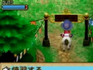 Vídeo de Harvest Moon: Welcome to the Bazaar of Wind