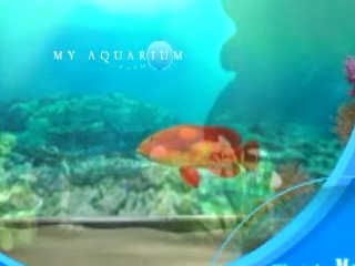 Vídeo de My Aquarium (Wii Ware)