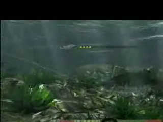 Vídeo de Rapala Fishing Frenzy 2009