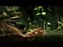 Vídeo de Lara Croft Tomb Raider: Anniversary