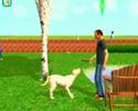 Vídeo de Sims 2: Pets (Mascotas), The