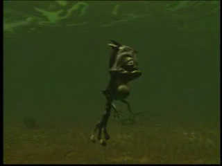 Vídeo de Oddworld: Munch's Oddysee,